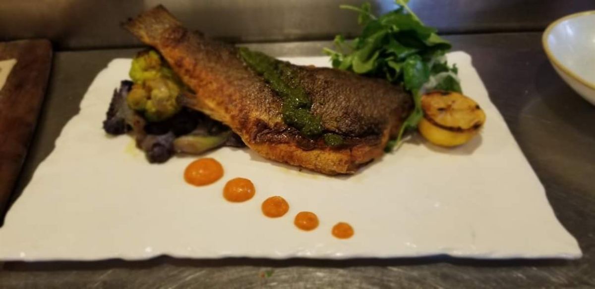 Crisp-skinned fish fillet plated with sauce
